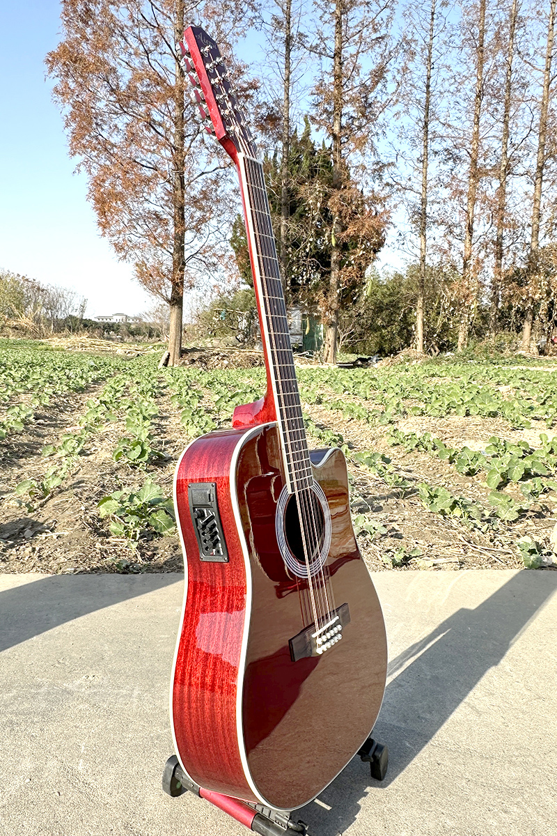 Wine Colour 12 String Dreadnought Electric Acoustic Guitar
